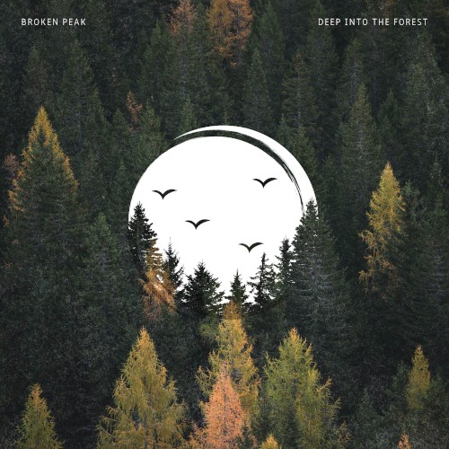Deep Into the Forest