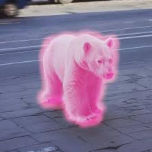 Xtrapolar