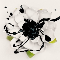 White Lotus