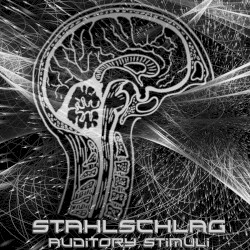 Auditory Stimuli