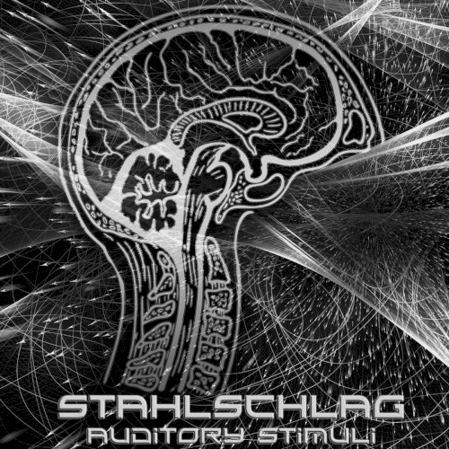 Auditory Stimuli