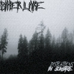 Distortions in Sombre