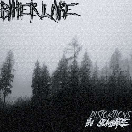 Distortions in Sombre