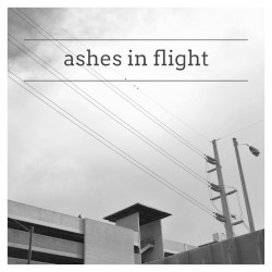 Ashes in Flight