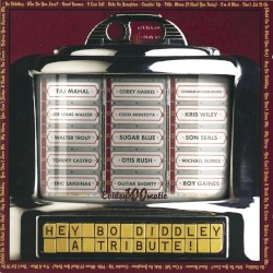 Hey Bo Diddley: A Tribute!