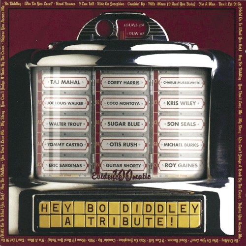 Hey Bo Diddley: A Tribute!
