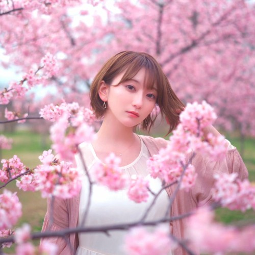 遥恋歌