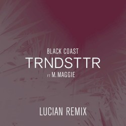 Trndsttr (Lucian remix)