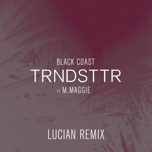 Trndsttr (Lucian remix)