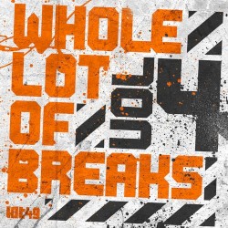 Whole Lot of Breaks Vol 4