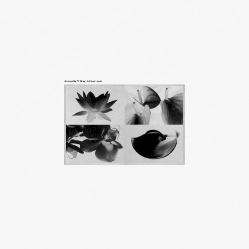 Anonymity Of Grey