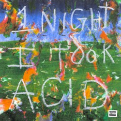 1 Night I Took Acid