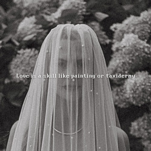 love is a skill like painting or taxidermy