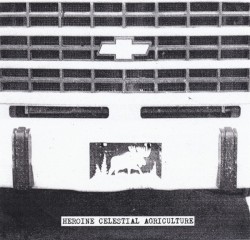 Econoline Native
