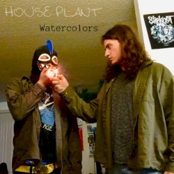 House Plant
