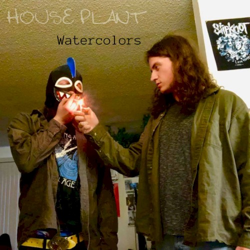 House Plant