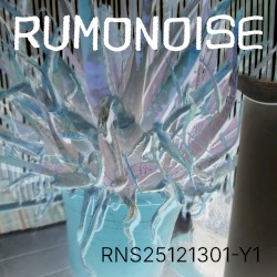 RNS25121301-Y1