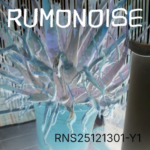 RNS25121301-Y1