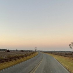 Prospect