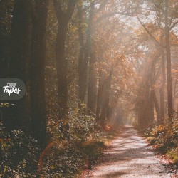 Golden Route