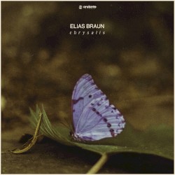 Chrysalis