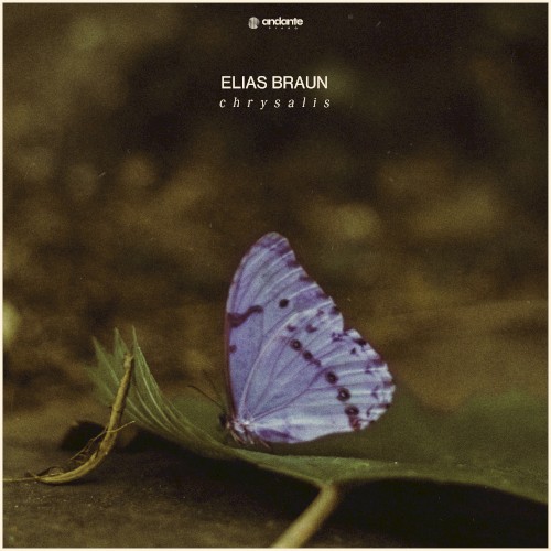 Chrysalis