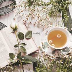 Morning