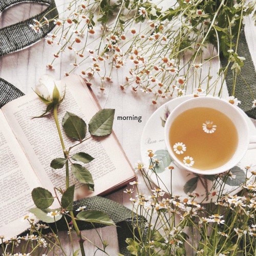 Morning