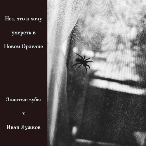 Нет, это я хочу умереть в Новом Орлеане