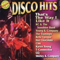 Disco Hits: That's The Way I Like It