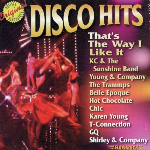 Disco Hits: That's The Way I Like It