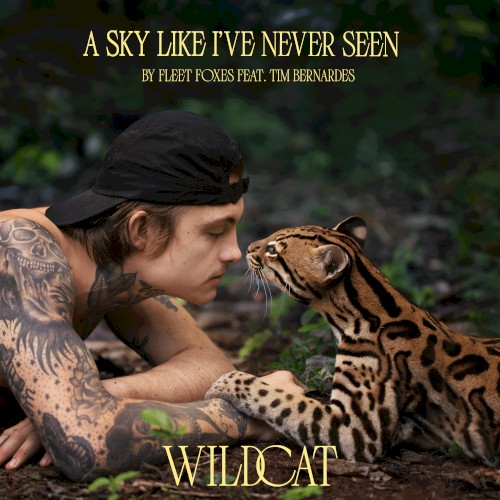 A Sky Like I’ve Never Seen (From the Amazon Original Movie “Wildcat”)