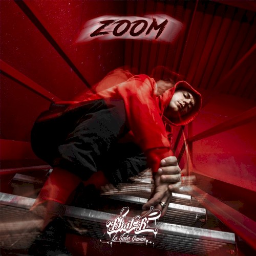 Zoom