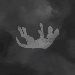 Shadows EP