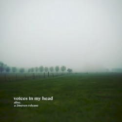voices in my head