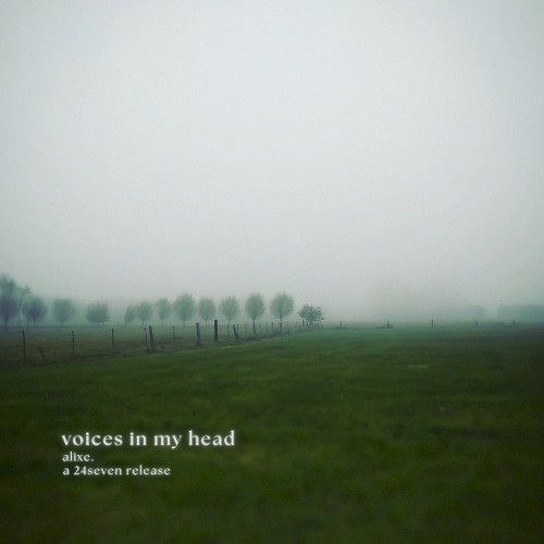 voices in my head