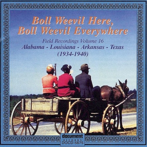 Boll Weevil Here, Boll Weevil Everywhere (Field Recordings Volume 16: Alabama, Louisiana, Arkansas, Texas (1934-1940))