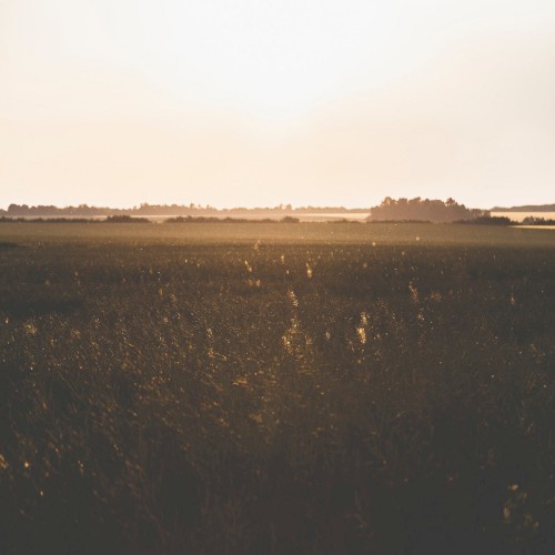 Agriculture
