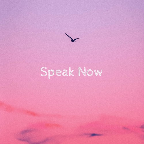 Speak Now