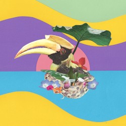 Flowering Jungle