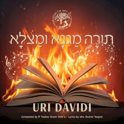 Torah Magna U'Matzla