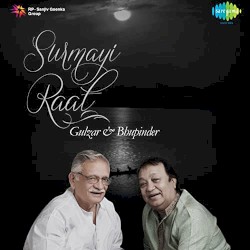 Surmayi Raat