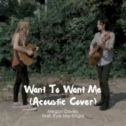 Want to Want Me (acoustic cover)