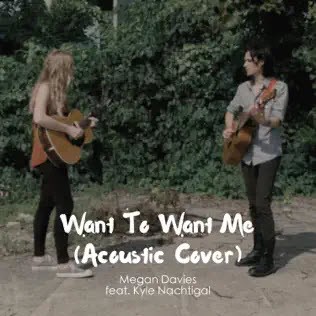 Want to Want Me (acoustic cover)