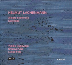 Allegro sostenuto / Serynade