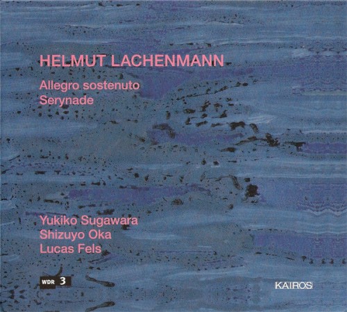 Allegro sostenuto / Serynade