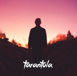Tarantula