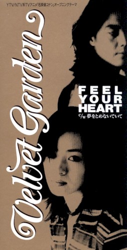 Feel Your Heart
