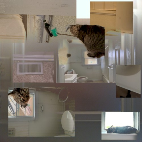 Baseline Location Referential [[INDIR]] .:(III):. [bathru] "white bathroom ... gangnam style YOU SMELL invoke SMELL Real Question: How to Exterminate ants from Bathroom?" .:(III):.