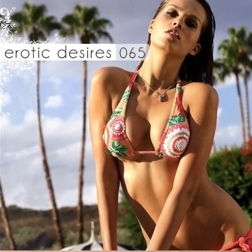 Erotic Desires, Volume 065